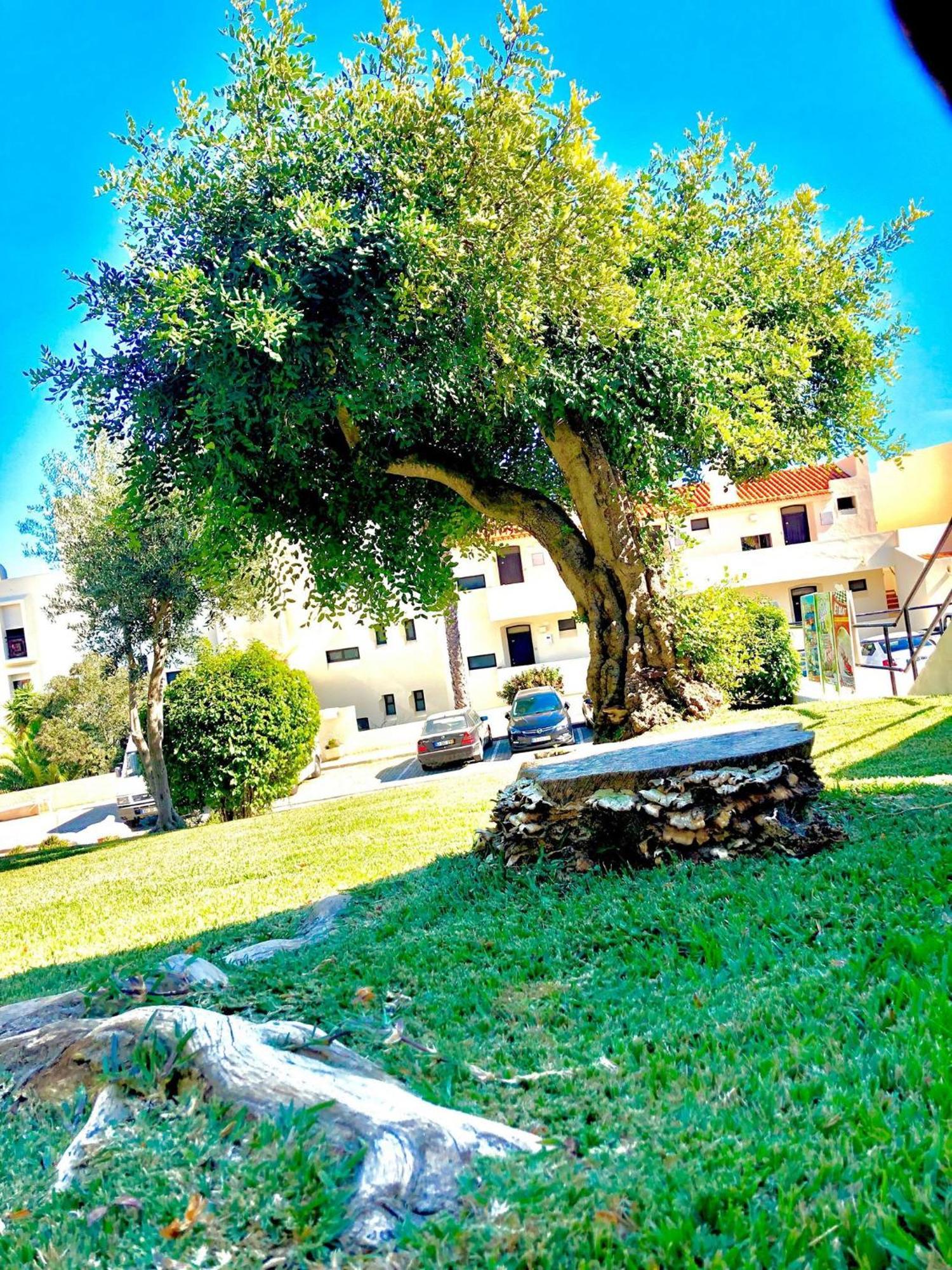 Albufeira Jardim - Apartamentos Turisticos Esterno foto