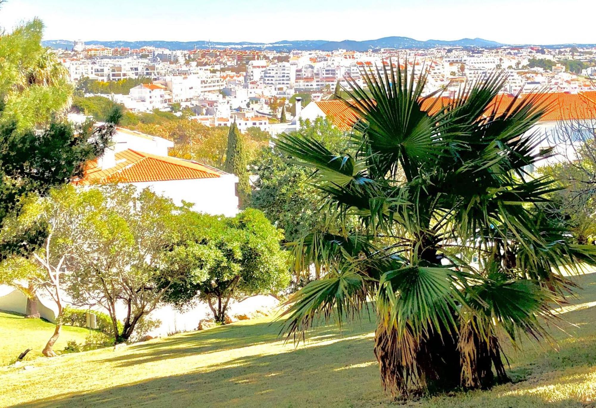 Albufeira Jardim - Apartamentos Turisticos Esterno foto