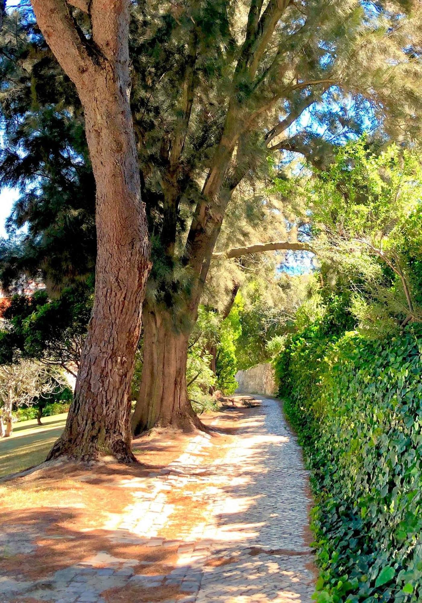 Albufeira Jardim - Apartamentos Turisticos Esterno foto